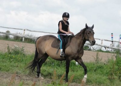 oboz-konie-2016-2-6-0008
