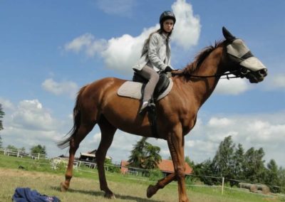 oboz-konie-2016-2-6-0013