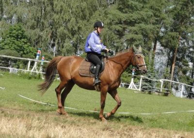 oboz-konie-2016-2-6-0015