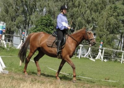 oboz-konie-2016-2-6-0020