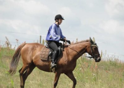 oboz-konie-2016-2-6-0030