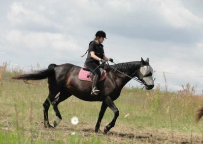 oboz-konie-2016-2-6-0031