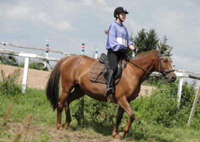 oboz-konie-2016-2-6-0032