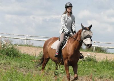 oboz-konie-2016-2-6-0036