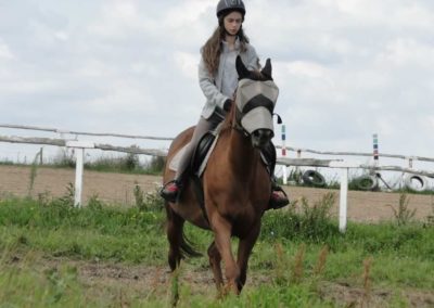 oboz-konie-2016-2-6-0038