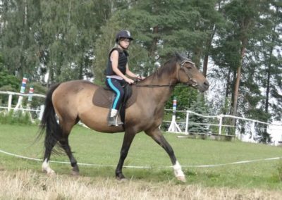 oboz-konie-2016-2-6-0039