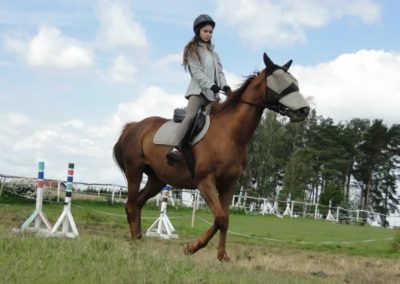oboz-konie-2016-2-6-0042