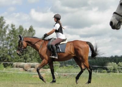 oboz-konie-2016-2-6-0052