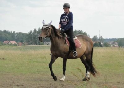 oboz-konie-2016-2-6-0119