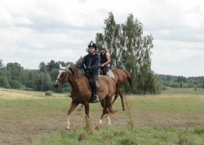 oboz-konie-2016-2-6-0127