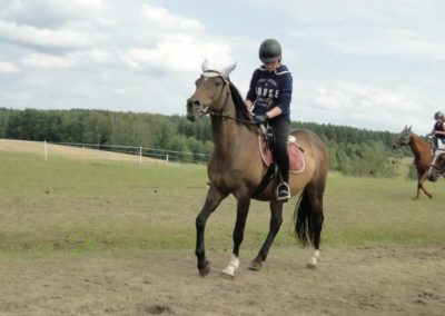oboz-konie-2016-2-6-0128