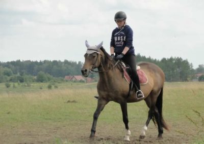 oboz-konie-2016-2-6-0145