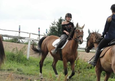 oboz-konie-2016-2-6-0173