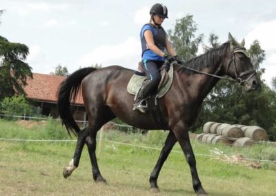 oboz-konie-2016-2-6-0211