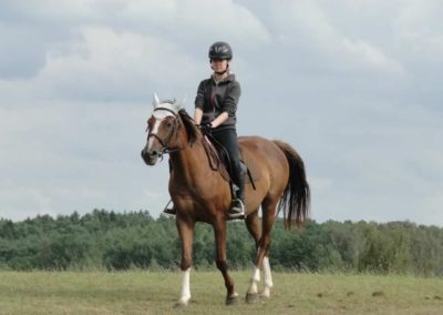 oboz-konie-2016-2-6-0218