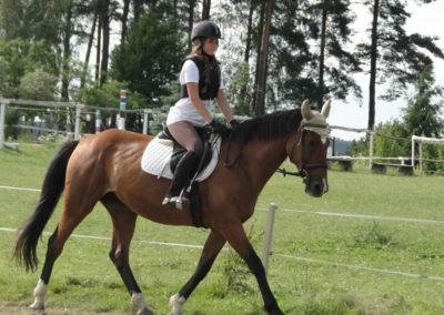 oboz-konie-2016-2-6-0259