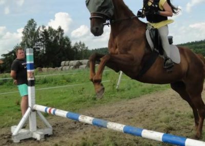oboz-konie-2016-2-6-0275