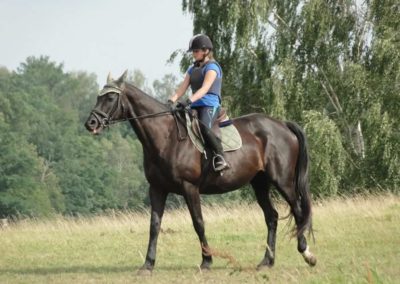oboz-konie-2016-2-6-0294
