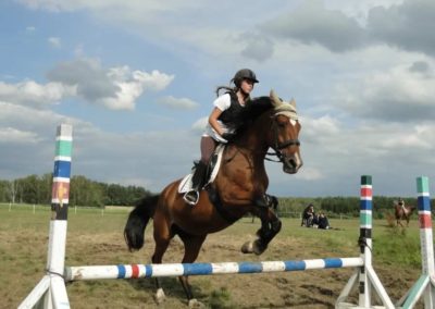 oboz-konie-2016-2-6-0301
