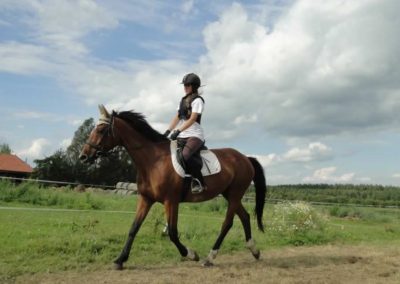 oboz-konie-2016-2-6-0304