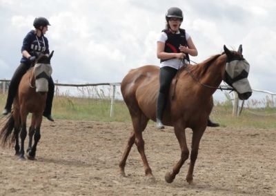 oboz-konie-2016-2-7-0003