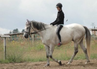 oboz-konie-2016-2-7-0005
