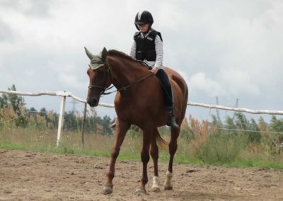 oboz-konie-2016-2-7-0006