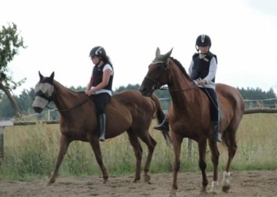 oboz-konie-2016-2-7-0021