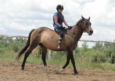 oboz-konie-2016-2-7-0048