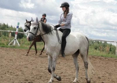 oboz-konie-2016-2-7-0049