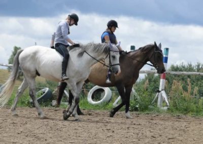 oboz-konie-2016-2-7-0052