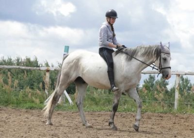 oboz-konie-2016-2-7-0053