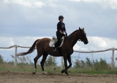 oboz-konie-2016-2-7-0148