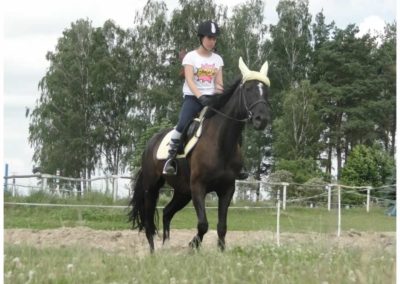 oboz-konie-2017-1-4-0183