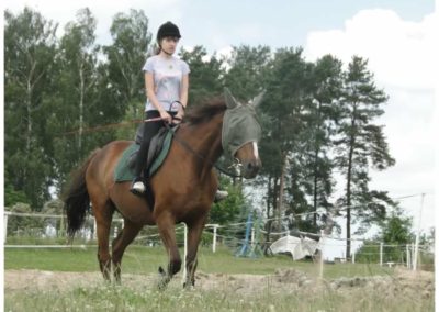 oboz-konie-2017-1-4-0185