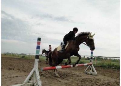 oboz-konie-2017-1-5-0143