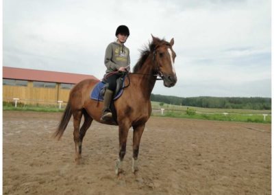 oboz-konie-2017-1-5-0185