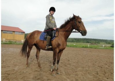 oboz-konie-2017-1-5-0187