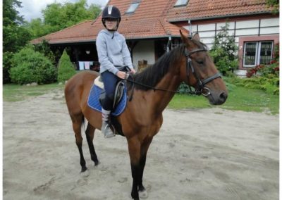 oboz-konie-2017-2-2-0009