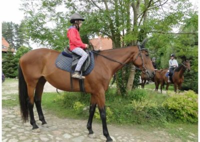 oboz-konie-2017-2-2-0018