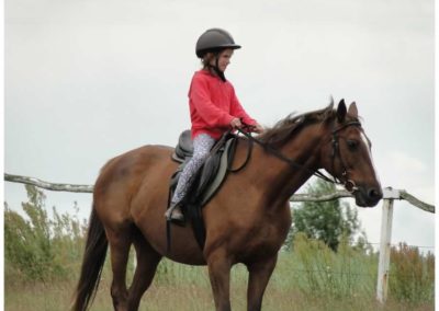 oboz-konie-2017-2-3-0211
