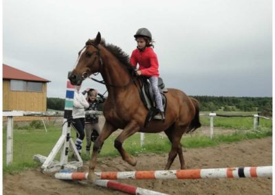 oboz-konie-2017-2-3-0243