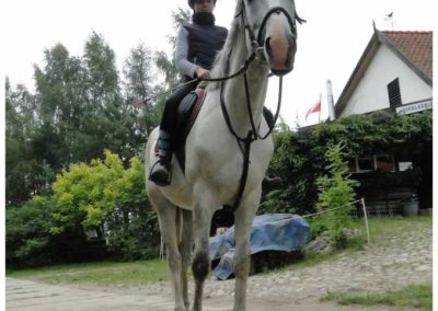 oboz-konie-2017-2-4-0033