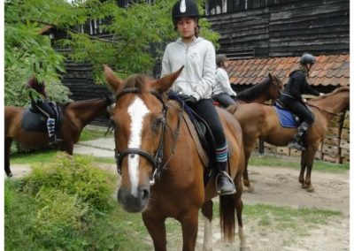oboz-konie-2017-2-4-0082