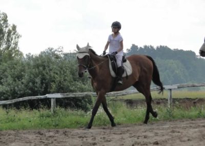 oboz-konie-2017-5-2-0026