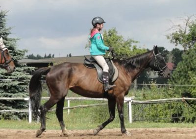 oboz-konie-2017-5-2-0052
