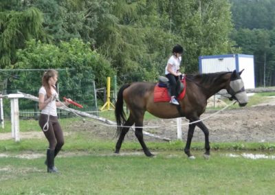 oboz-konie-2017-5-2-0057