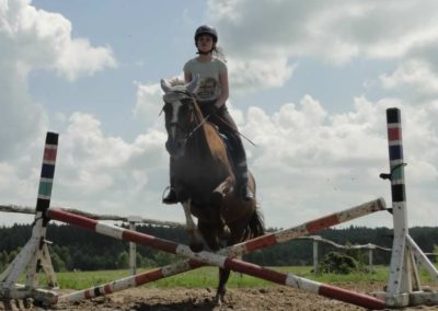 oboz-konie-2017-5-2-0077