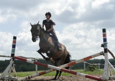 oboz-konie-2017-5-2-0083