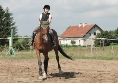 oboz-konie-2017-5-5-0004
